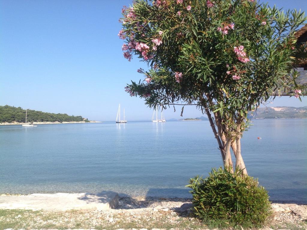 Apartment Biserka Cavtat Chambre photo