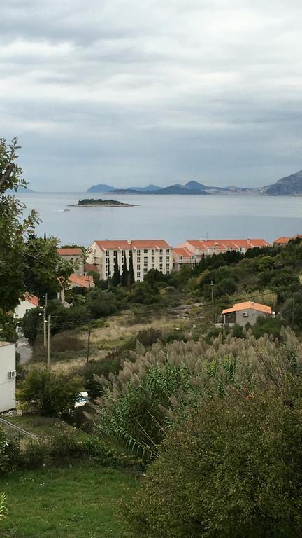 Apartment Biserka Cavtat Extérieur photo